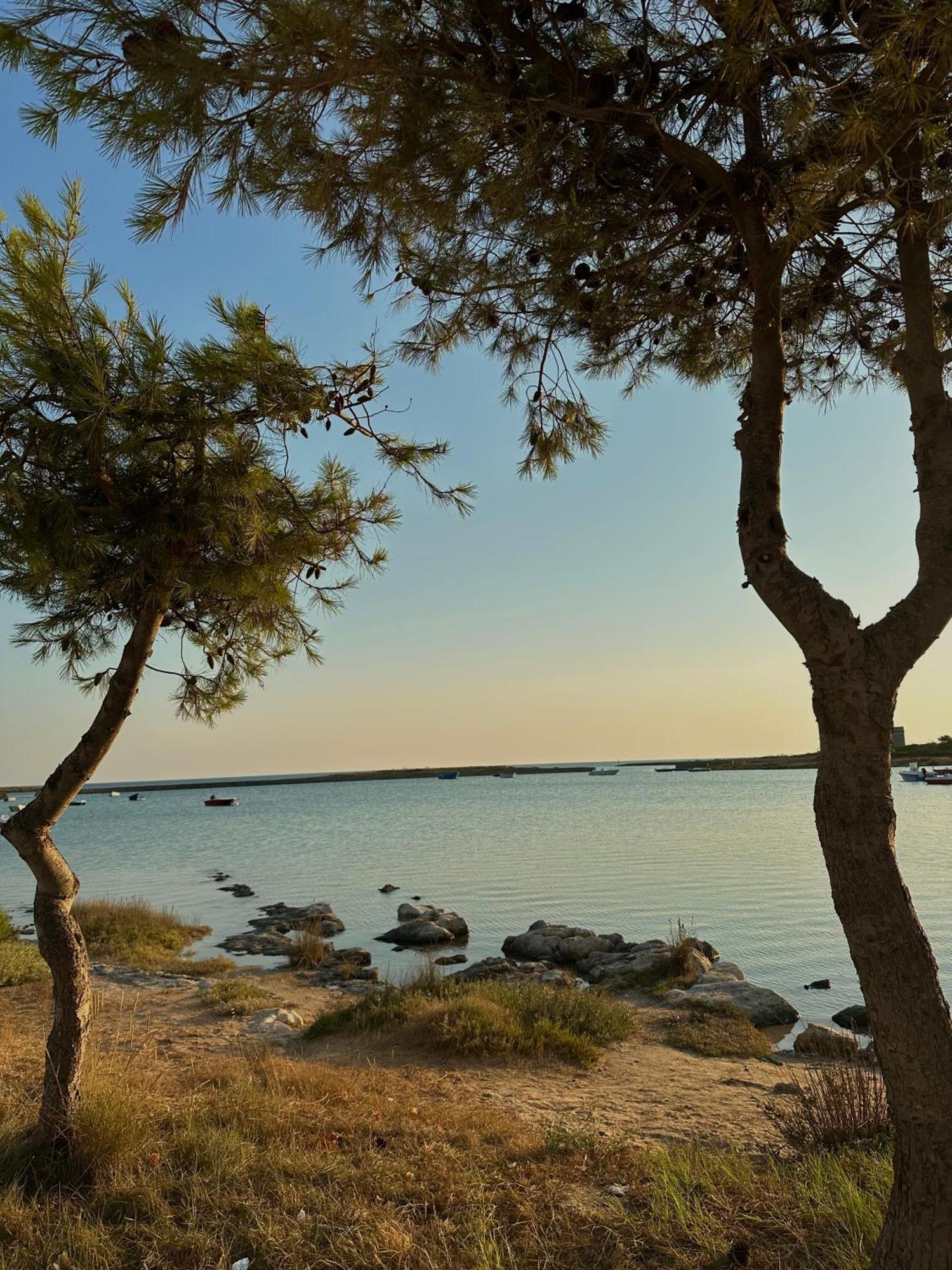 Villa Matino Torre Squillace Εξωτερικό φωτογραφία